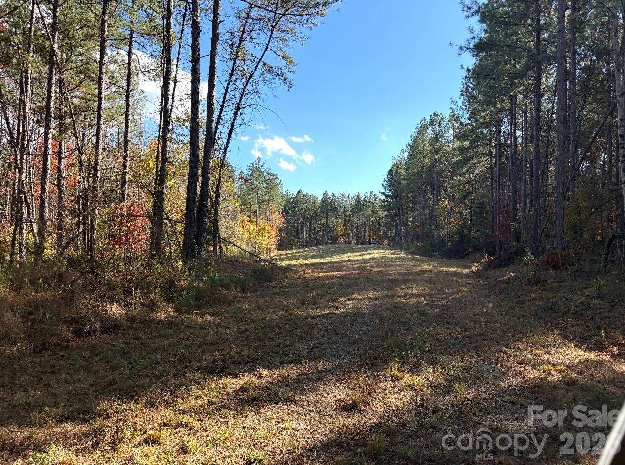 1486 Huffman Bridge Road Morganton, NC 28655 - Photo 15 of 19 a view of a yard