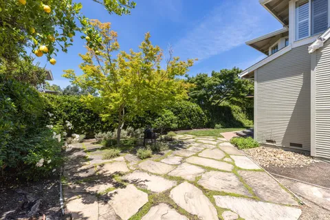 a view of a backyard with plants and a patio