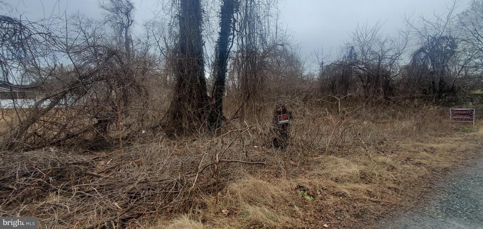 Meadow Lane Elkton, MD 21921 - Photo 8 of 11