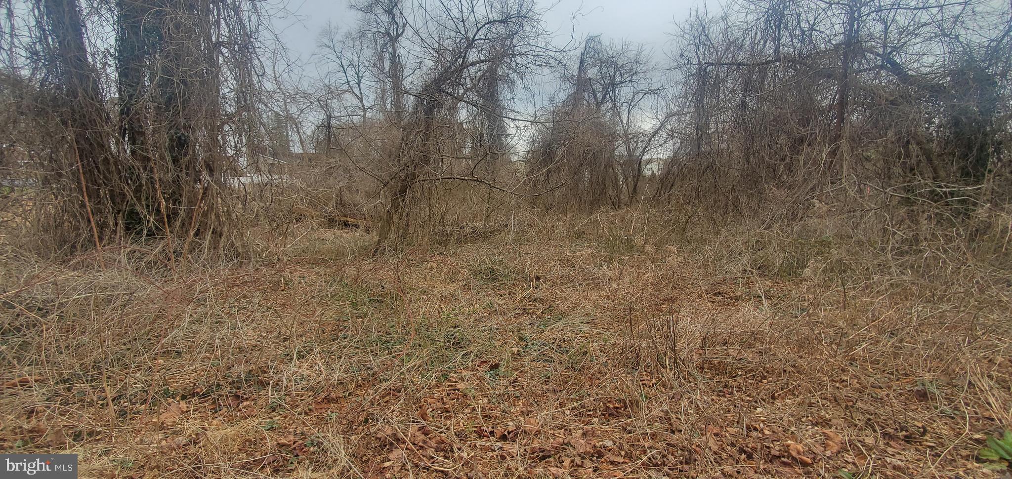 Meadow Lane Elkton, MD 21921 - Photo 9 of 11