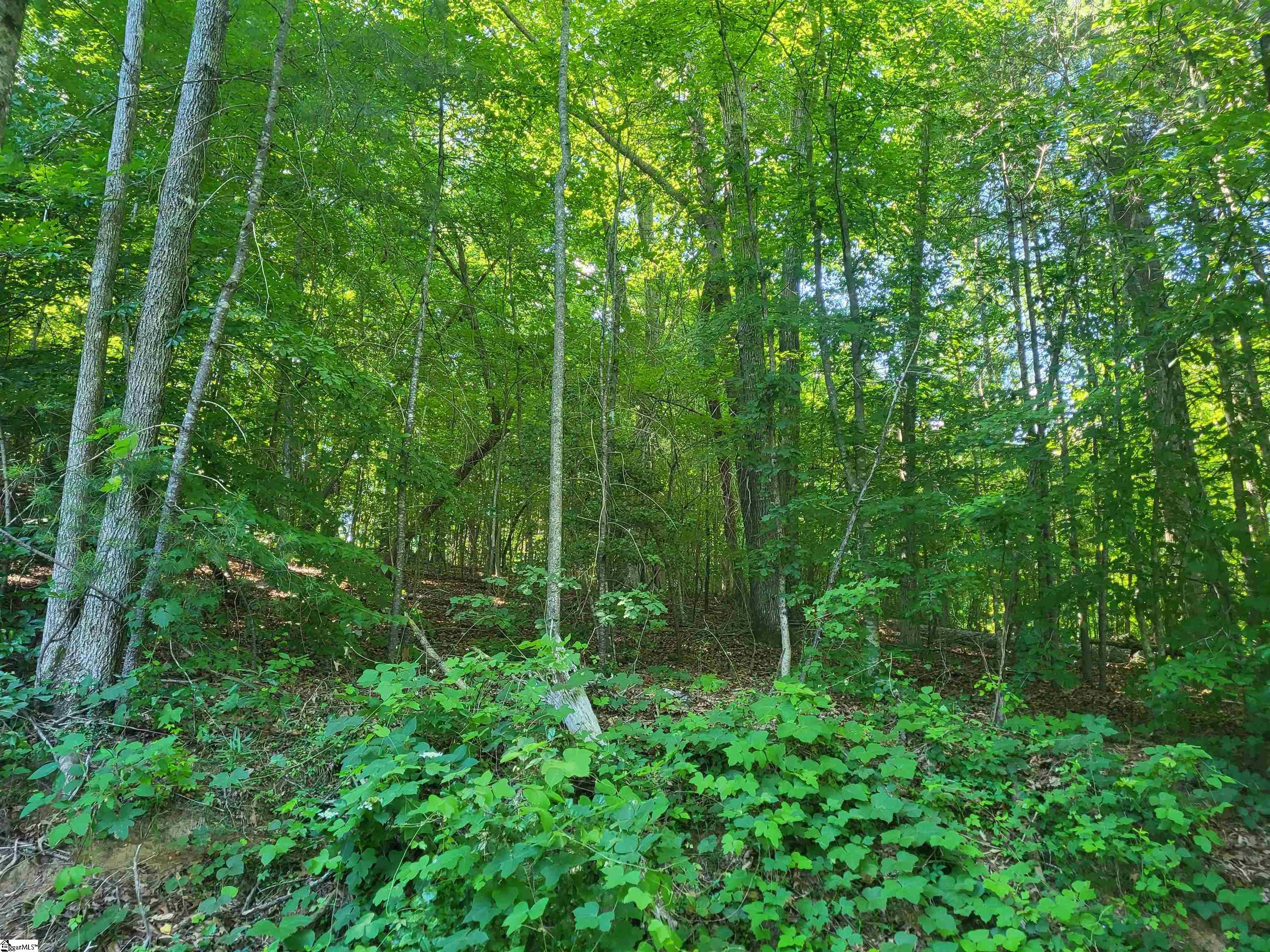 0 Hidden Valley Road Marietta, SC 29661 - Photo 2 of 3