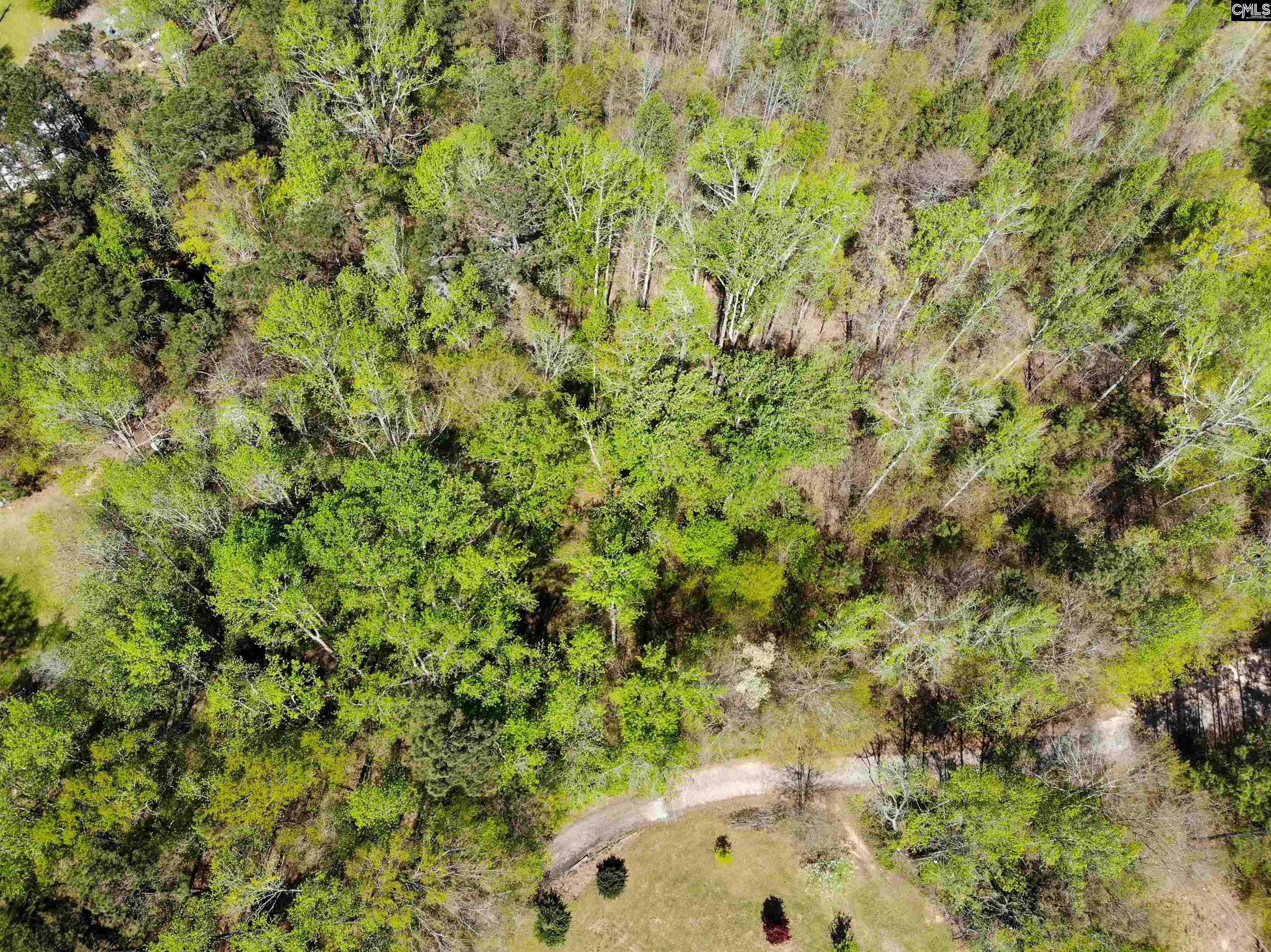 Tbd James Road Joanna, SC 29351 - Photo 50 of 82
