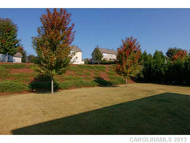 373 Miners Cove Way Fort Mill, SC 29708 - Photo 3 of 16