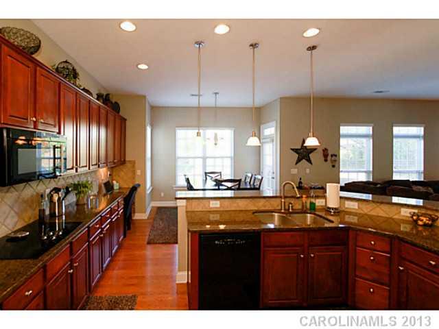 373 Miners Cove Way Fort Mill, SC 29708 - Photo 4 of 16