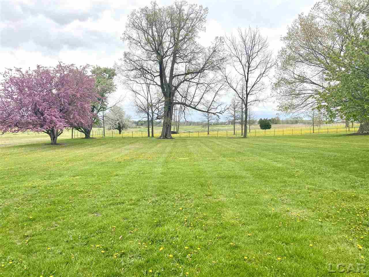 9174 Packard Road Morenci, MI 49256 - Photo 7 of 36