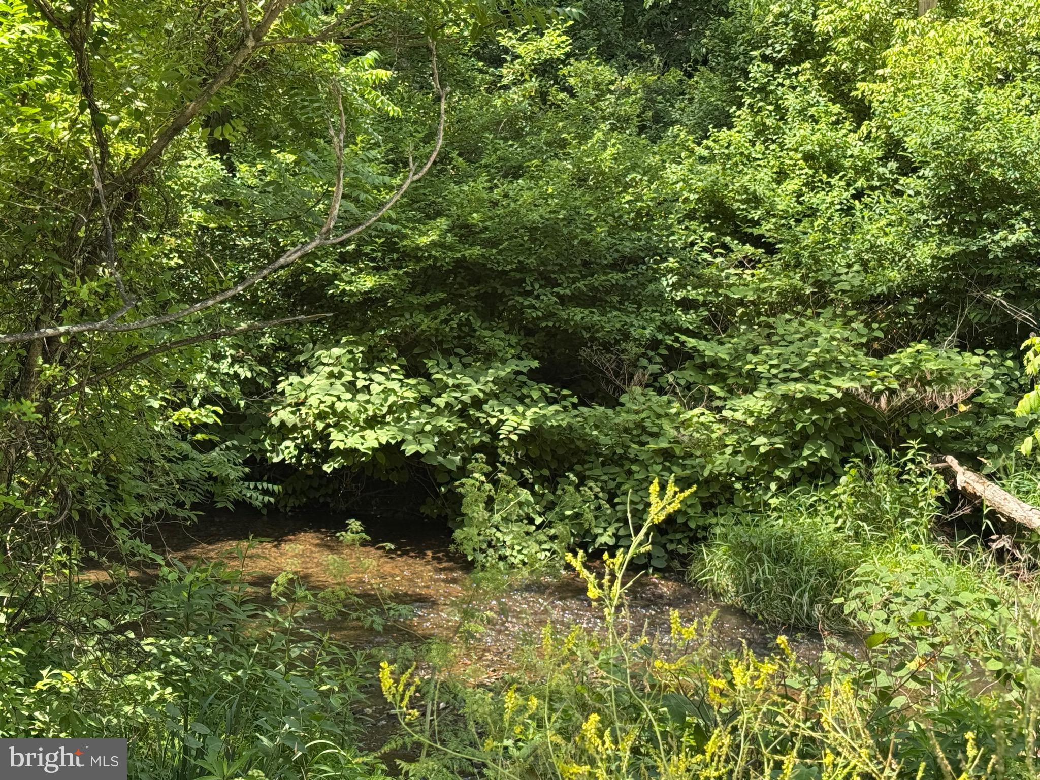 Sand Mine Rd Creek, Unit BY Berkeley Springs, WV 25411 - Photo 8 of 11