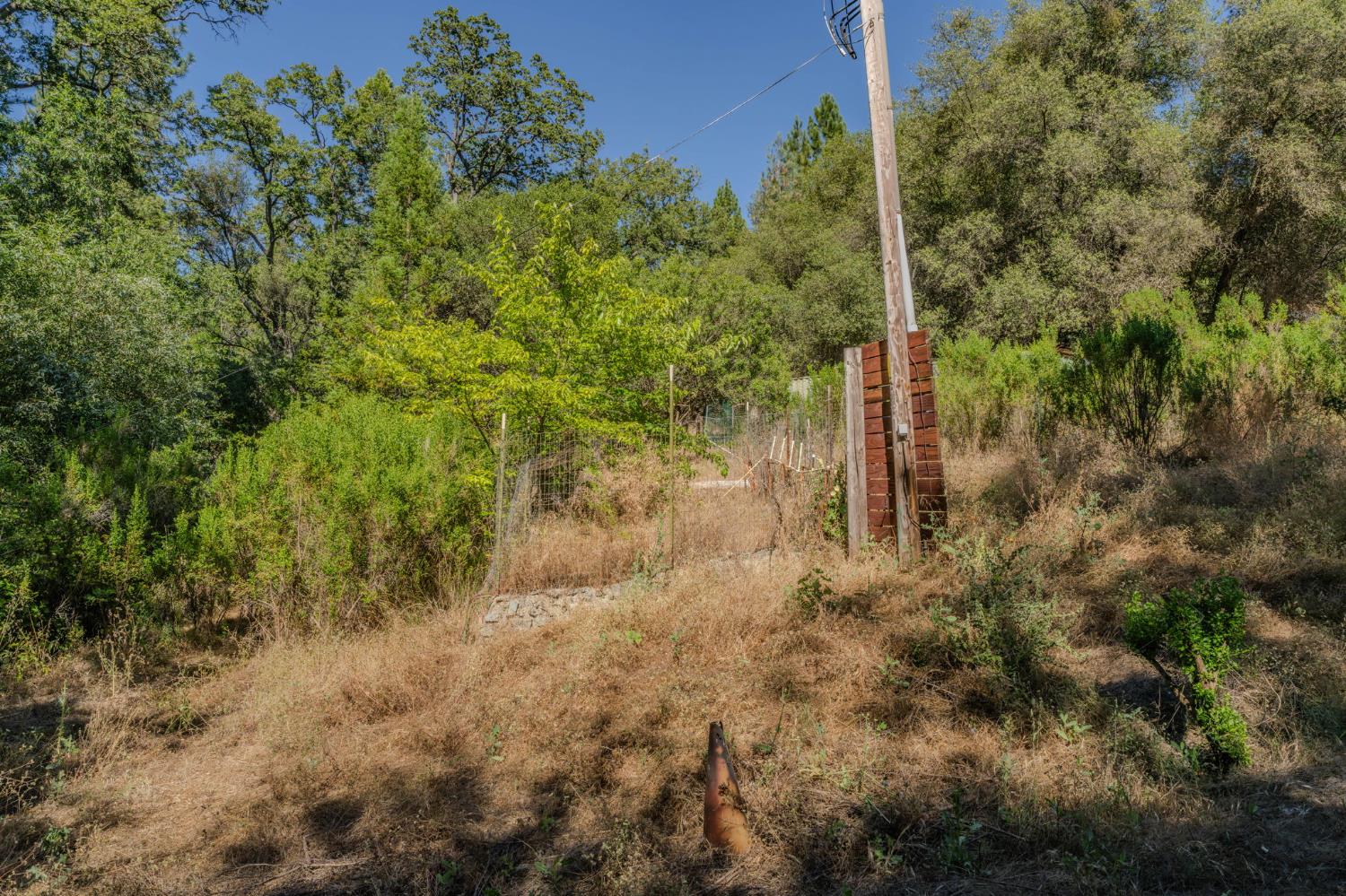 6240 Michel Road Mountain Ranch, CA 95246 - Photo 67 of 92