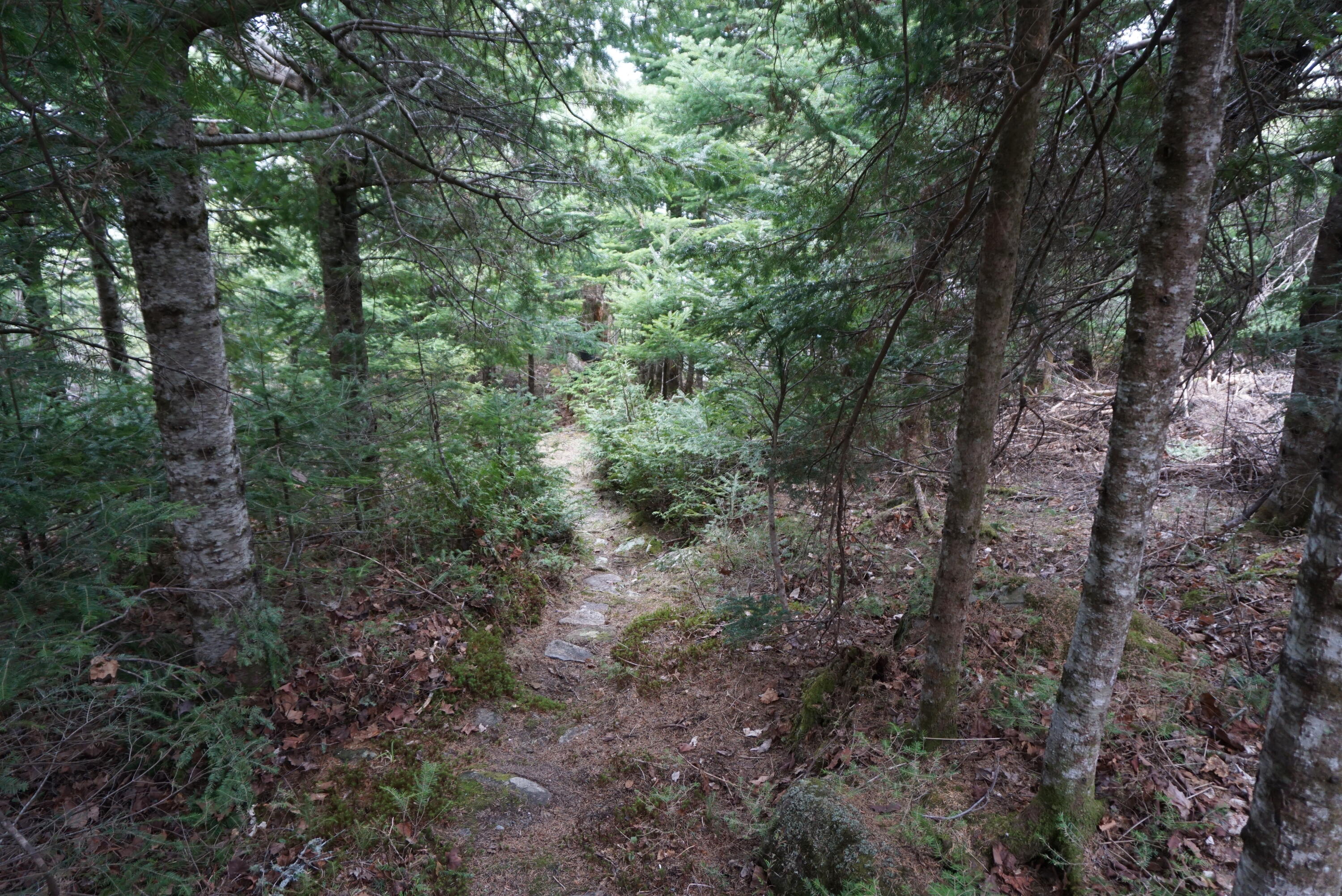 31 Johnson Road Greenville, ME 04441 - Photo 32 of 37 0E5FC21A-61B8-4DB1-9445-287EF9537A43