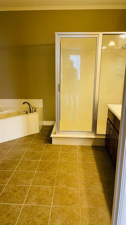 577 Jaresh Road Pilot Point, TX 76258 - Photo 4 of 14