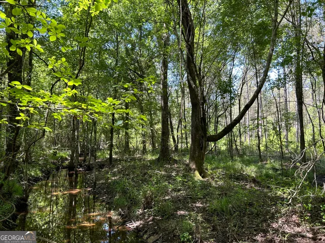 a view of outdoor space and trees