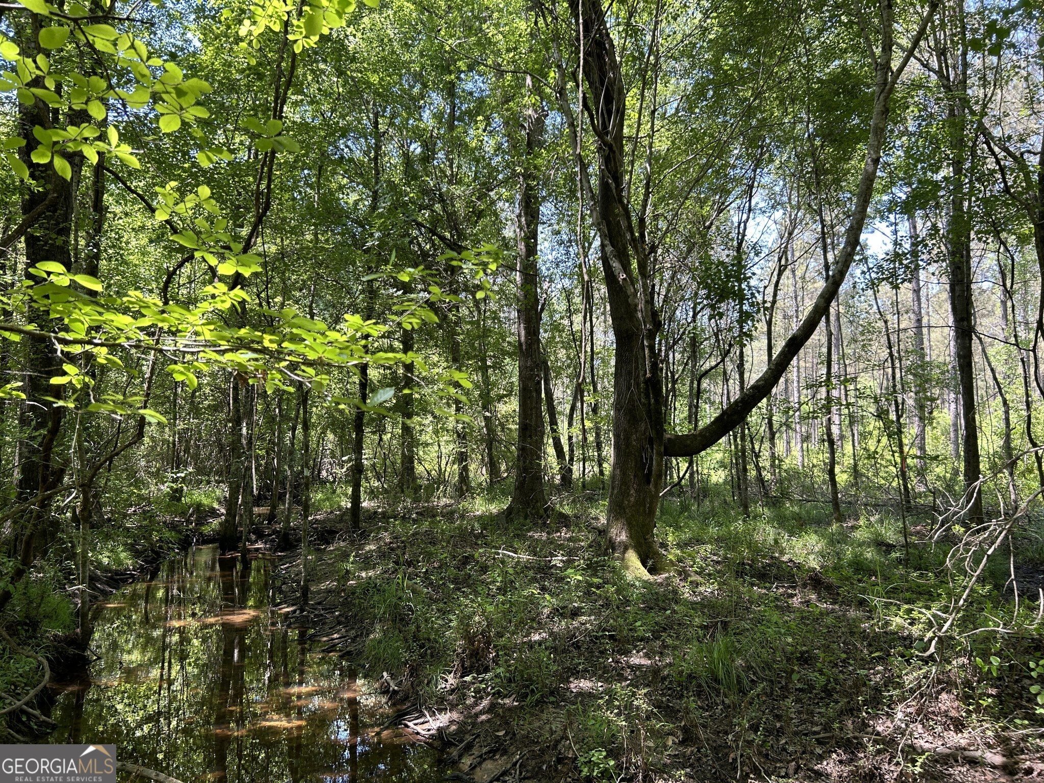 0 Dewey Thomas Road, Unit LOT 1 Dexter, GA 31019 - Photo 11 of 14 a view of outdoor space and trees