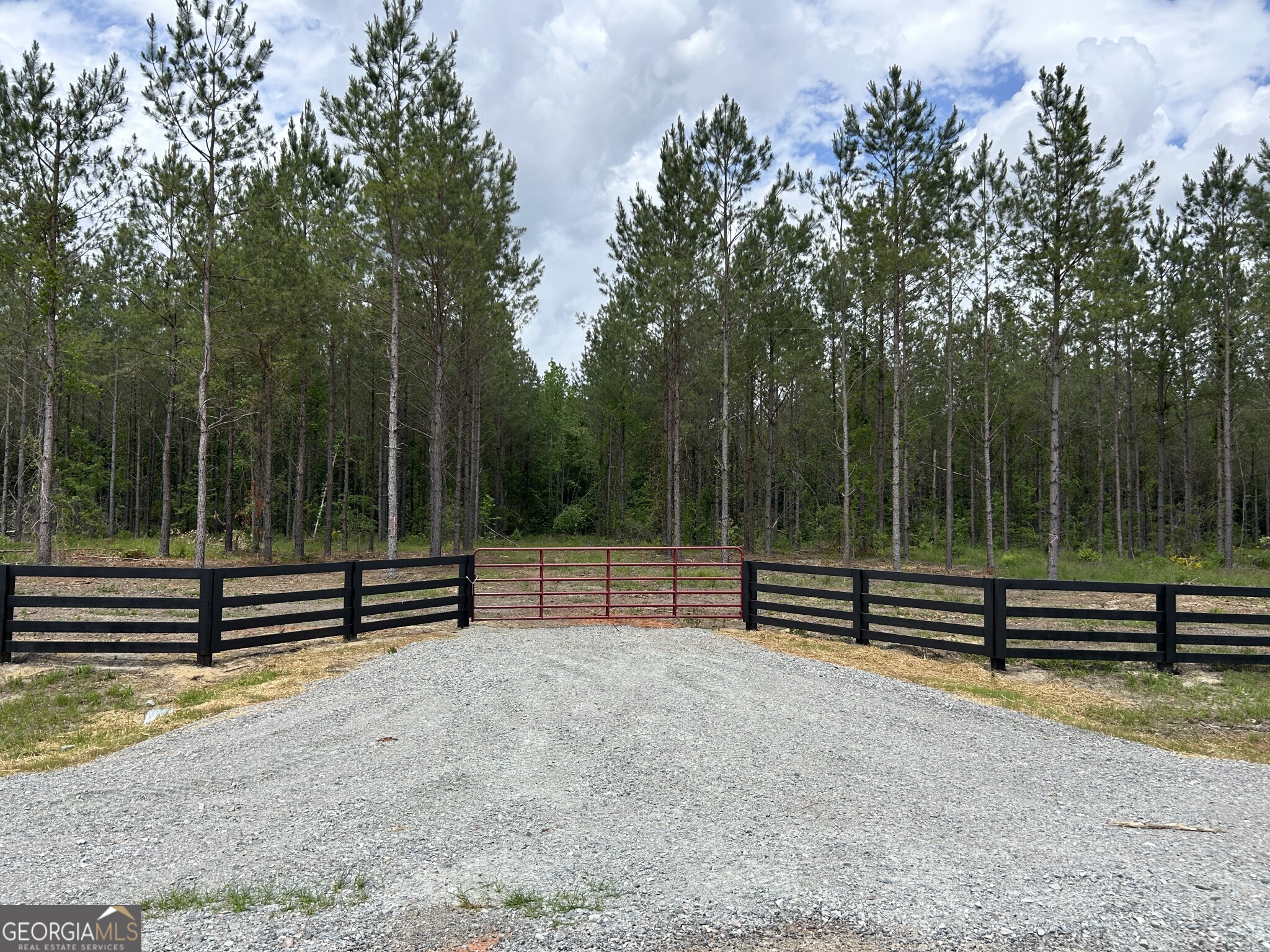 0 Dewey Thomas Road, Unit LOT 1 Dexter, GA 31019 - Photo 4 of 14 a view of park with wooden bench and trees