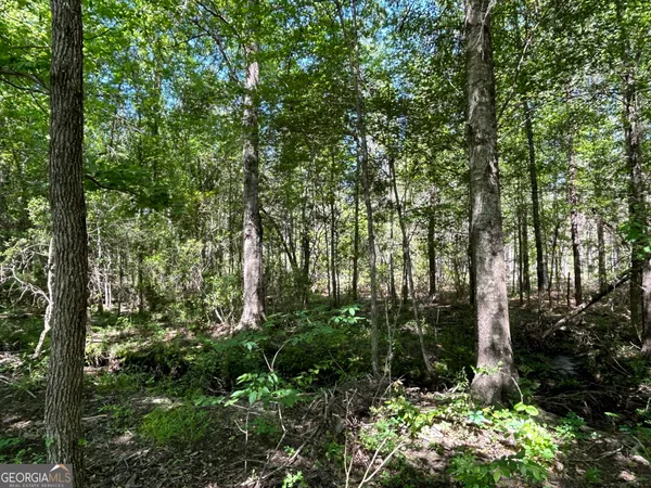 a view of outdoor space and trees