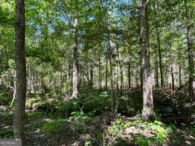 a view of outdoor space and trees