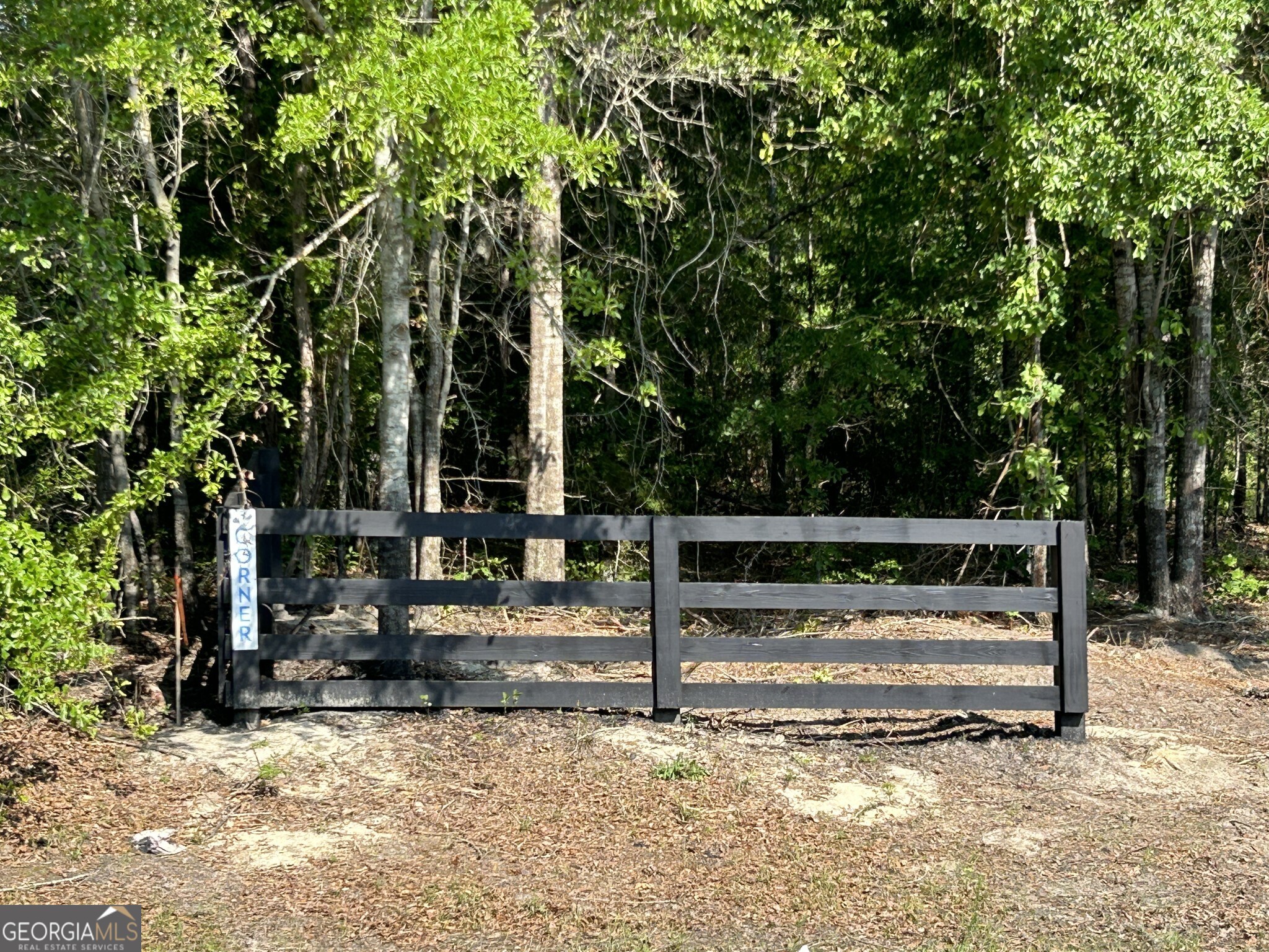 0 Dewey Thomas Road, Unit LOT 1 Dexter, GA 31019 - Photo 8 of 14 a view of backyard with sitting area