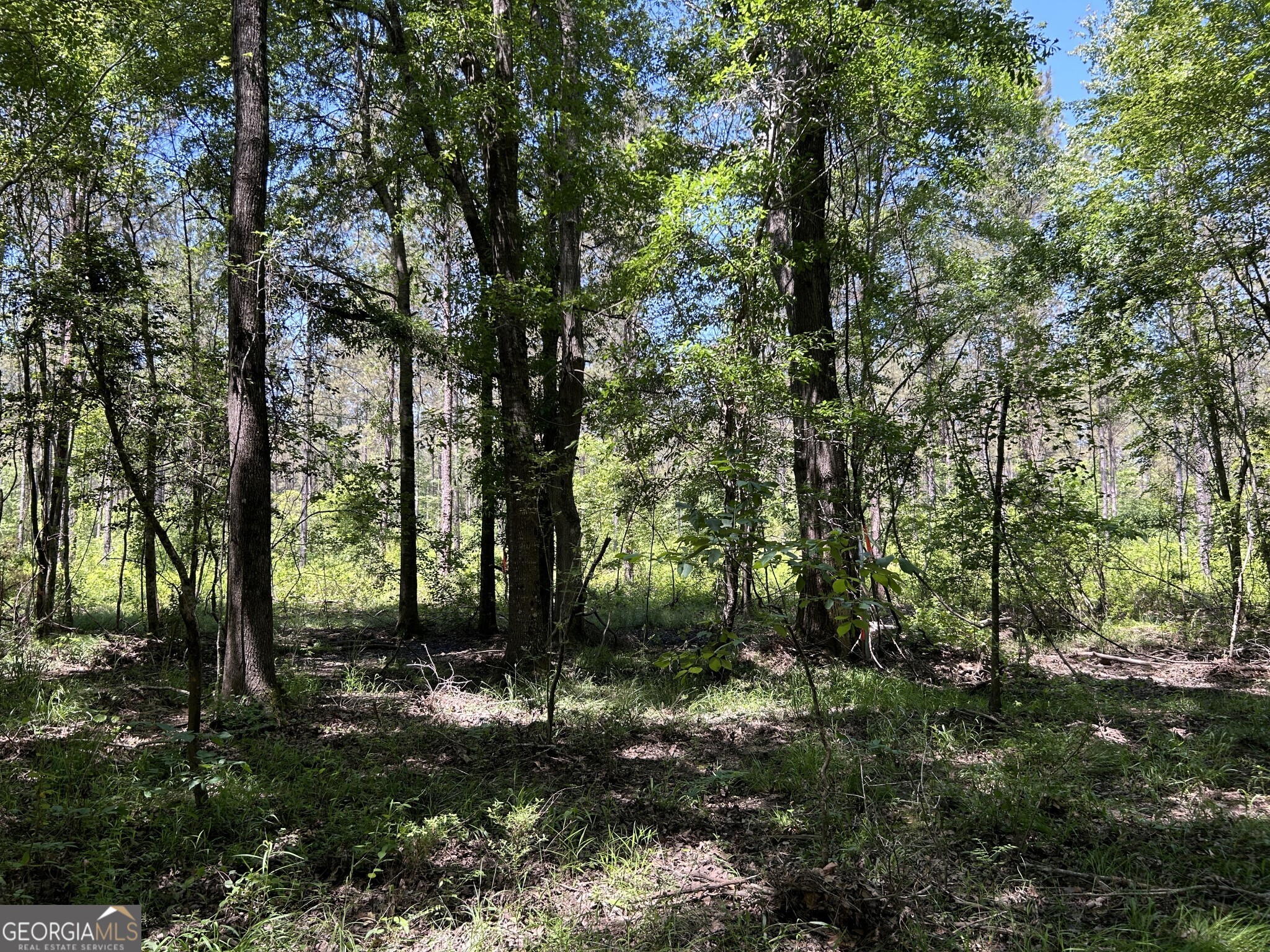 0 Dewey Thomas Road, Unit LOT 1 Dexter, GA 31019 - Photo 10 of 14 a view of outdoor space and tree