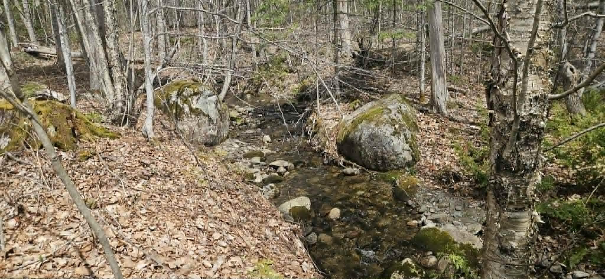 211 Loon Cove Road Hartland, ME 04943 - Photo 24 of 26 24