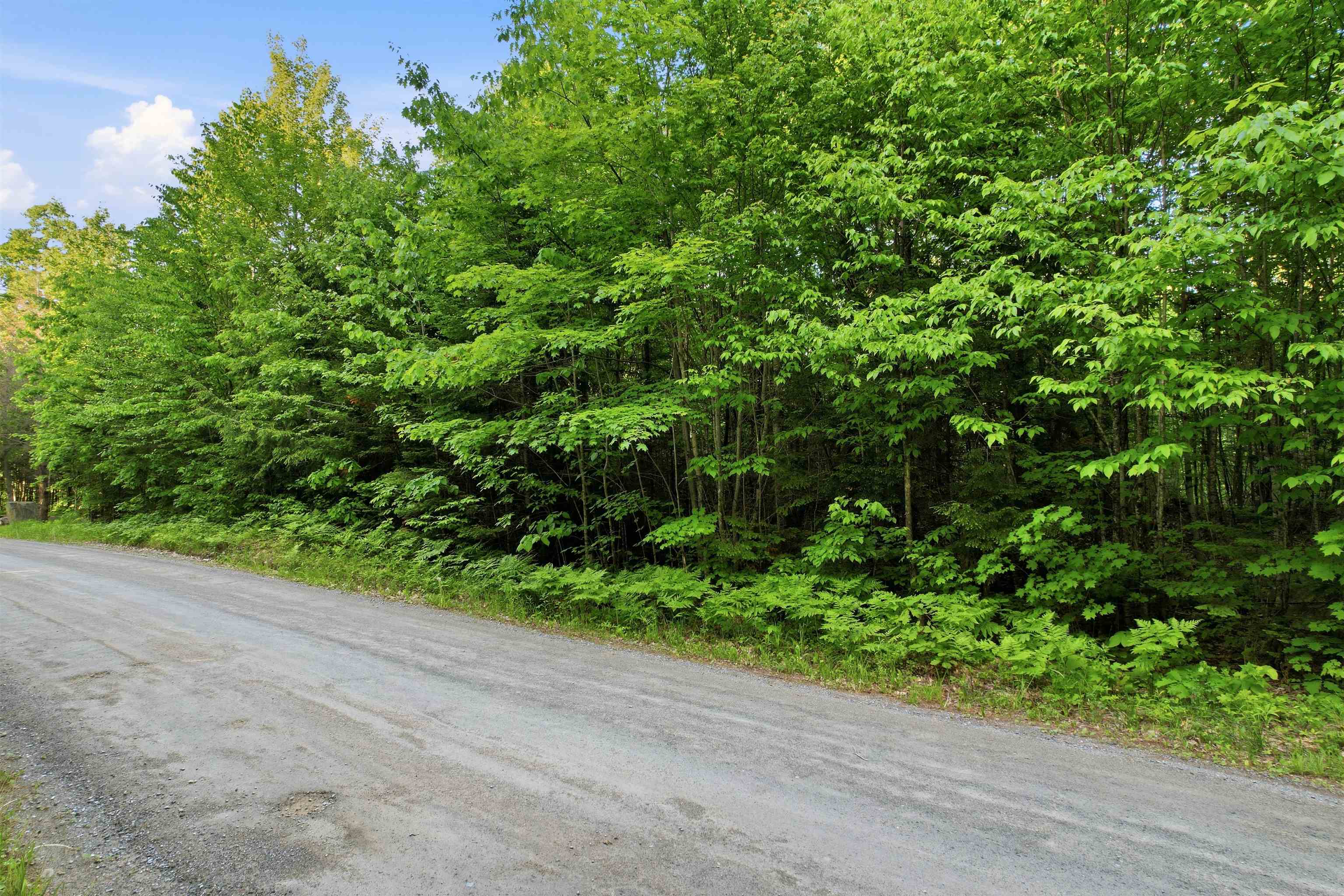 0 Porter Road Bath, NH 03740 - Photo 6 of 18