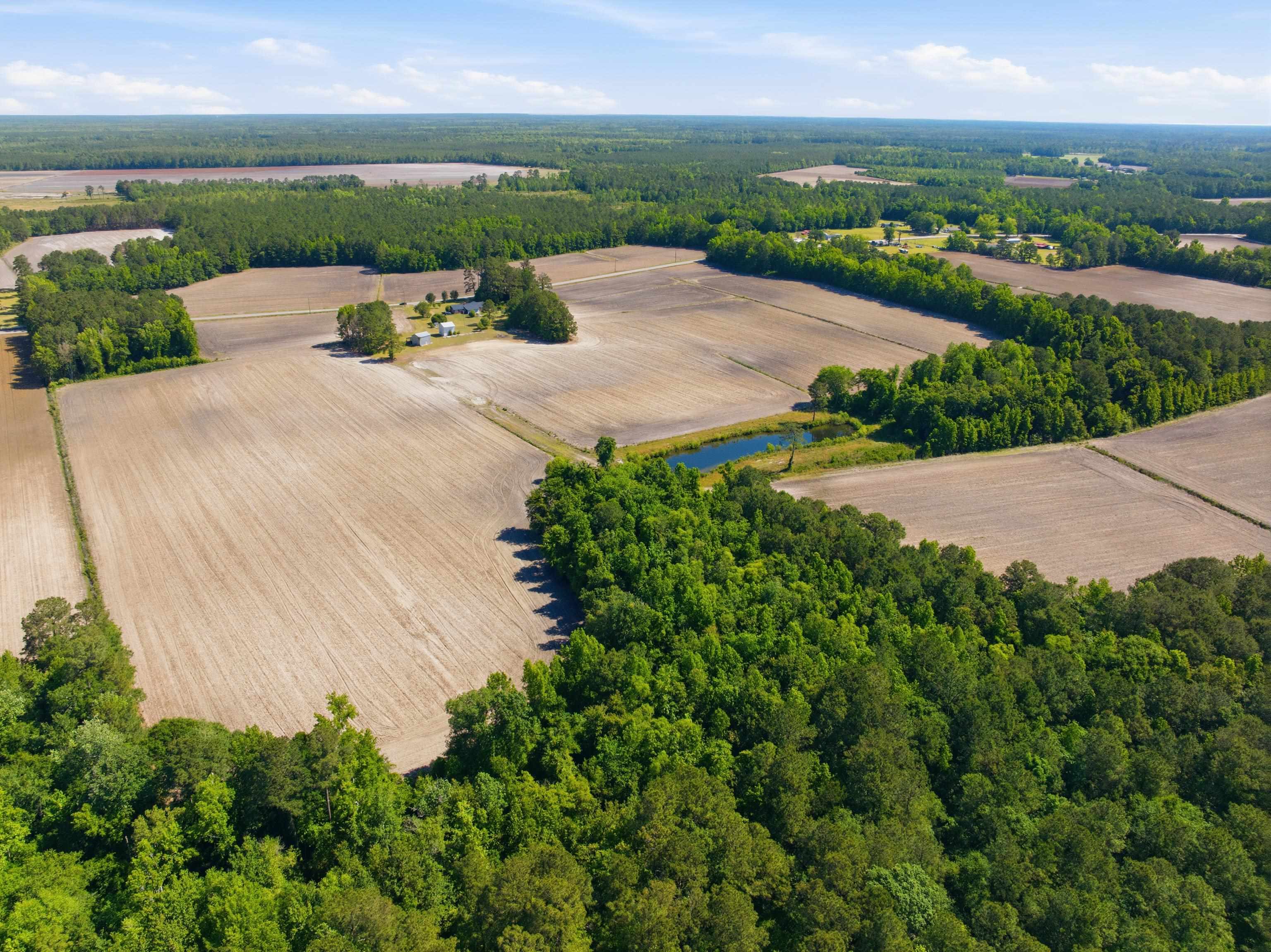 9475 Lake Swamp Road Nichols, SC 29581 - Photo 21 of 36