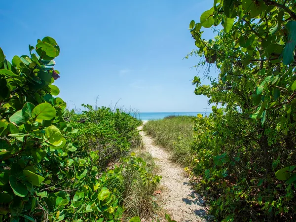 a plant that is in a garden