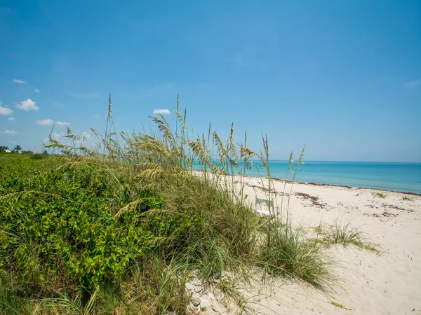 a view of ocean view with beach