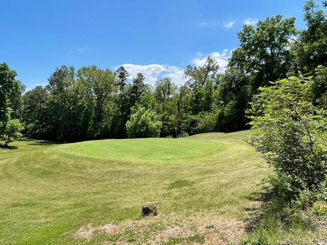 1111 Golf Course Road Newport, TN 37821 - Photo 33 of 33 VIEW OF HOLE 12 OF GOLD COURSE