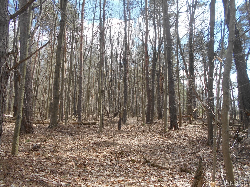 0 Genesee Road Lawtons, NY 14091 - Photo 32 of 34