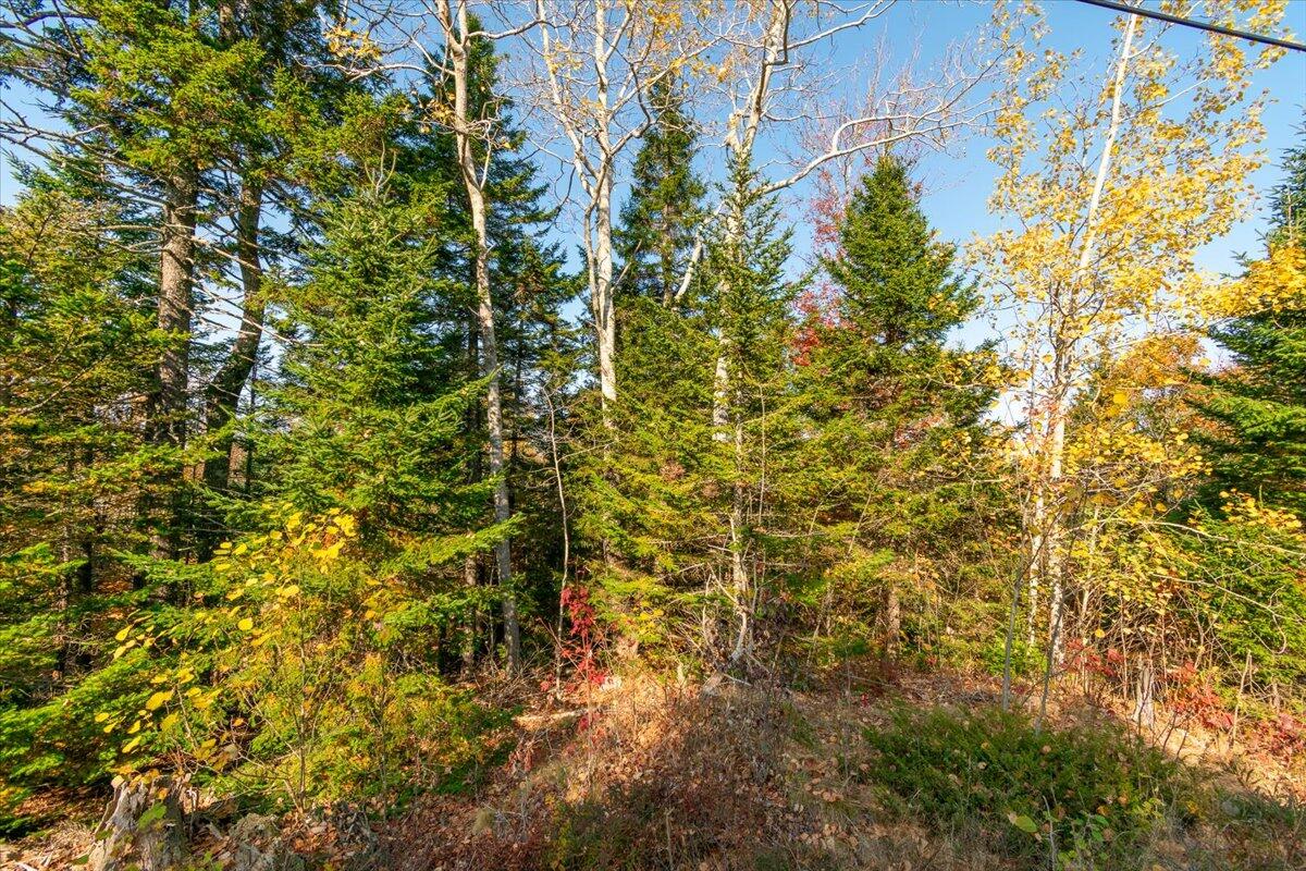 Lot 2 Cushing Road Cushing, ME 04563 - Photo 12 of 12 56-178 Cushing-56