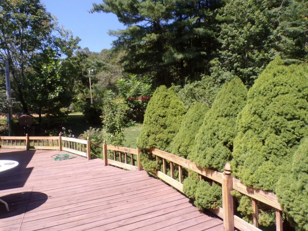 360 Corner Road Mountain City, TN 37683 - Photo 18 of 24 Photo 18