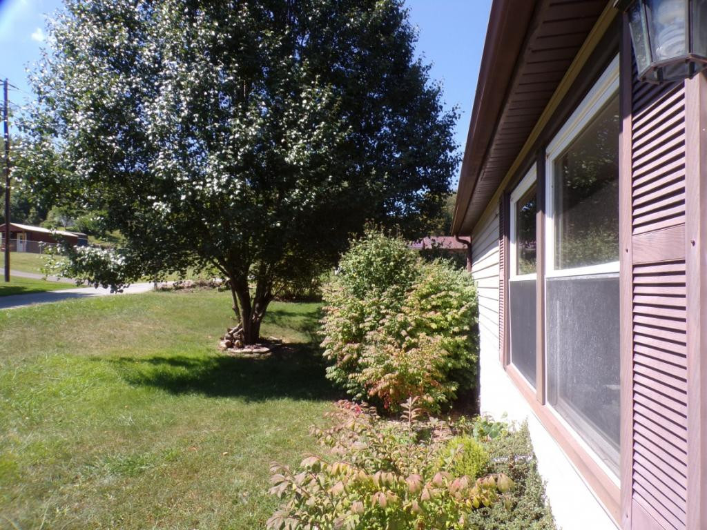 360 Corner Road Mountain City, TN 37683 - Photo 6 of 24 Photo 6