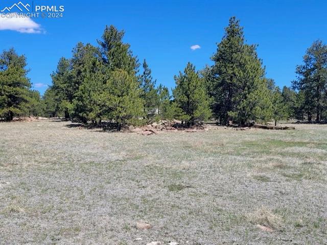 495 Ring Road Guffey, CO 80820 - Photo 1 of 3