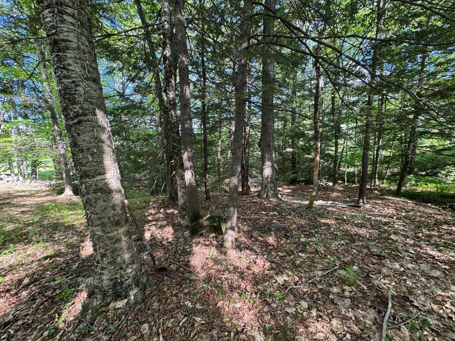 0 Peaked Hill Road Bristol, NH 03222 - Photo 15 of 33