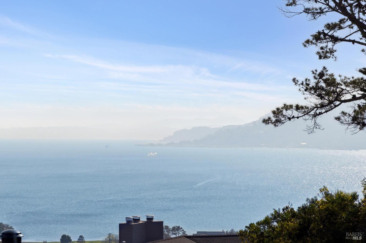 5 Warrens Way Tiburon, CA 94920 - Photo 38 of 49