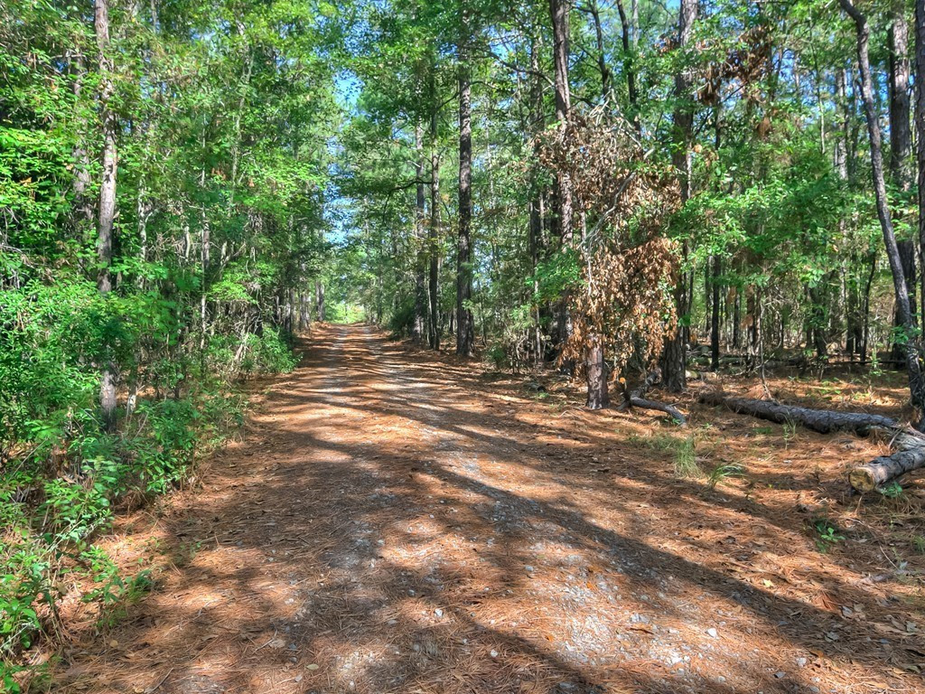 5757 Springcreek Road Grovetown, GA 30813 - Photo 2 of 36
