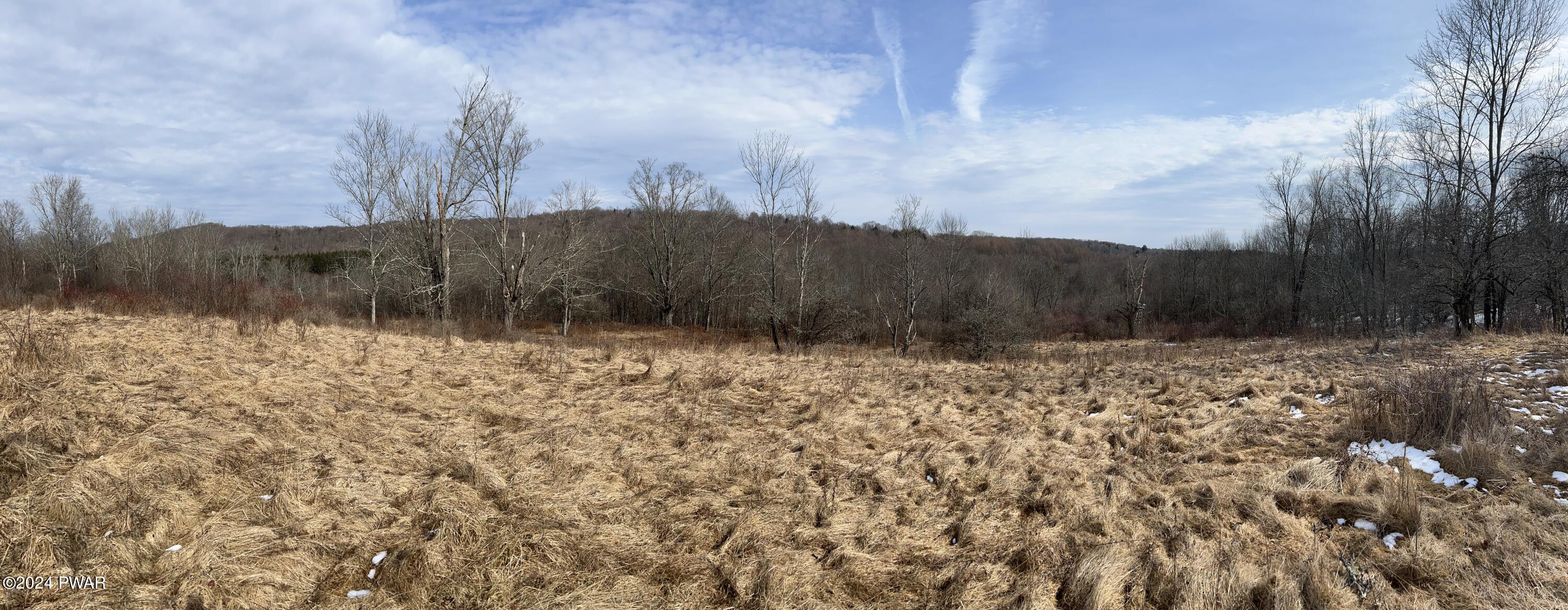Old Franks Road Pleasant Mount, PA 18453 - Photo 4 of 9