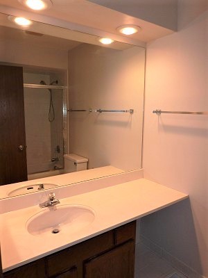 893 Burgess Circle Buffalo Grove, IL 60089 - Photo 14 of 17
