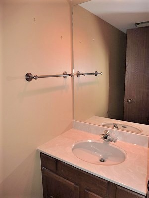 893 Burgess Circle Buffalo Grove, IL 60089 - Photo 9 of 17