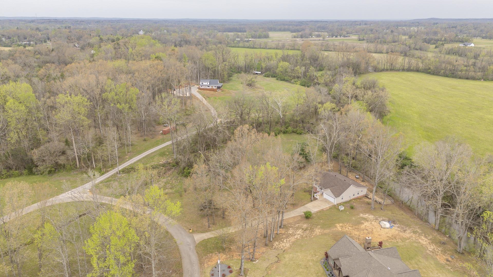 270 2 Boys Road Savannah, TN 38372 - Photo 35 of 35 Drone / aerial view of a forest