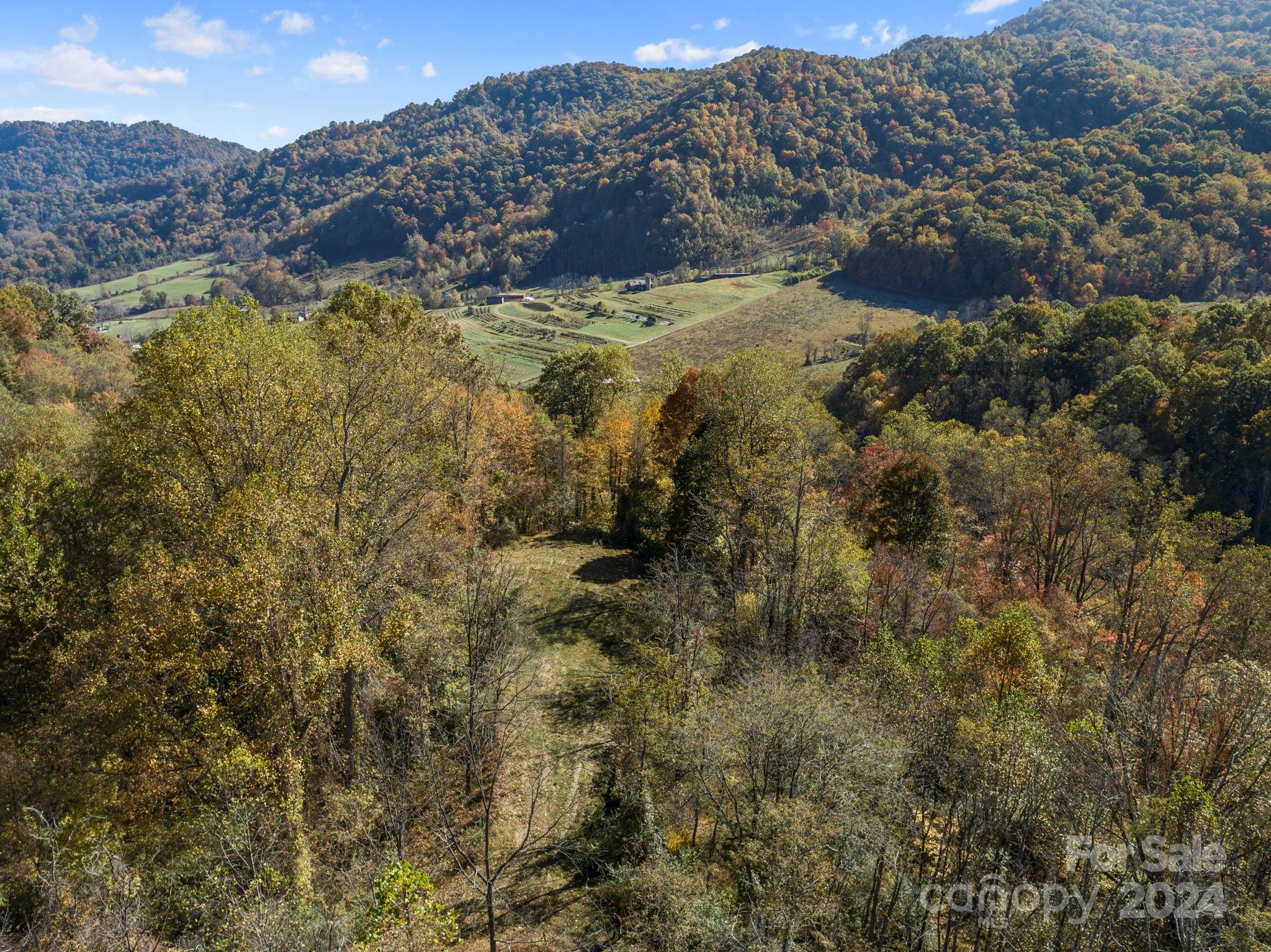 Tbd Fresh Water Road Leicester, NC 28748 - Photo 3 of 5 Gallery Image 3