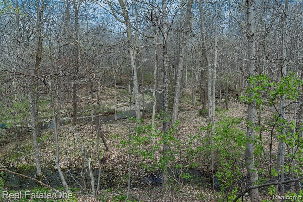 947 East Tienken Road Rochester Hills, MI 48306 - Photo 3 of 12