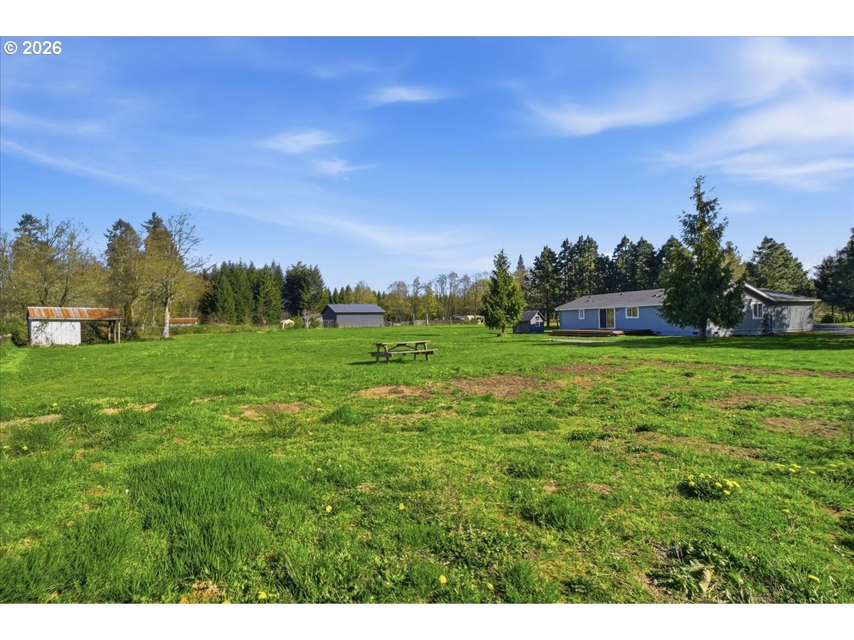 176 Tara Lane Vader, WA 98593 - Photo 26 of 36 a view of grassy field with trees