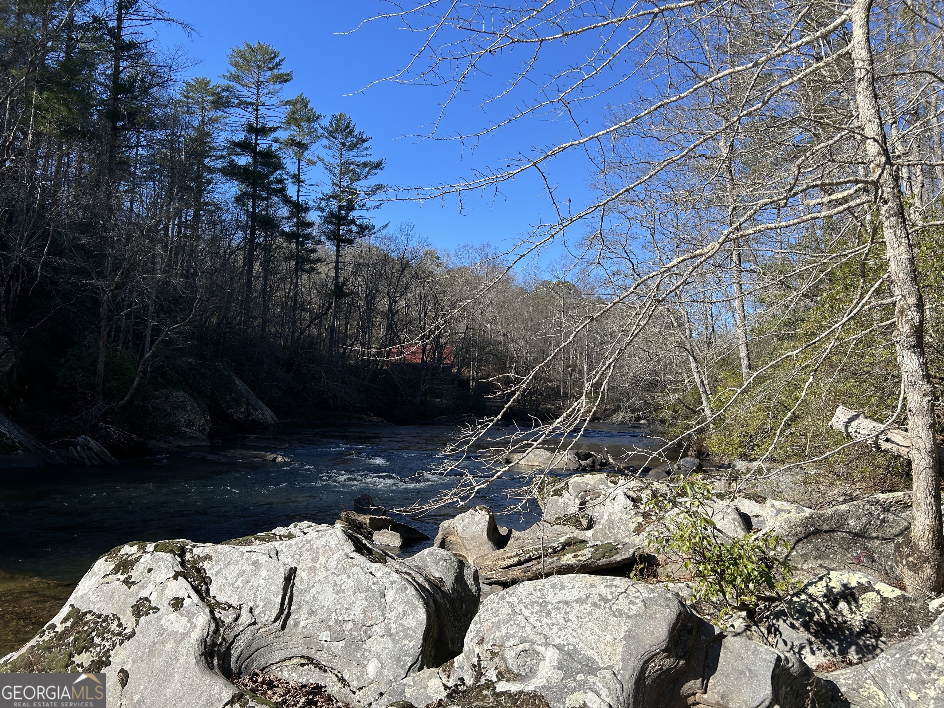 0 Twin River Orchard Road, Unit TRACT 3 Demorest, GA 30535 - Photo 11 of 39 a view of a backyard of the house