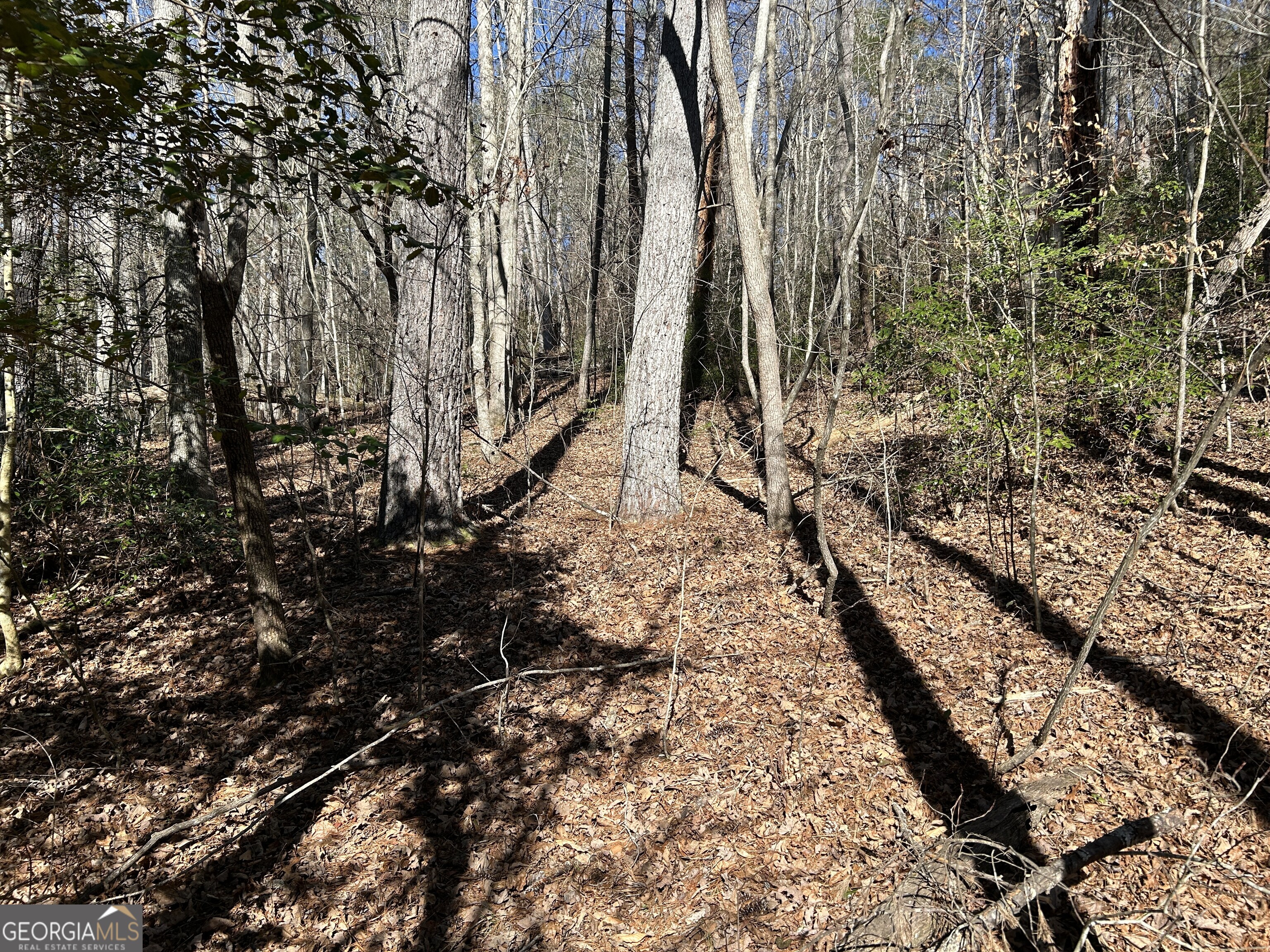 0 Twin River Orchard Road, Unit TRACT 3 Demorest, GA 30535 - Photo 16 of 39 a view of a yard