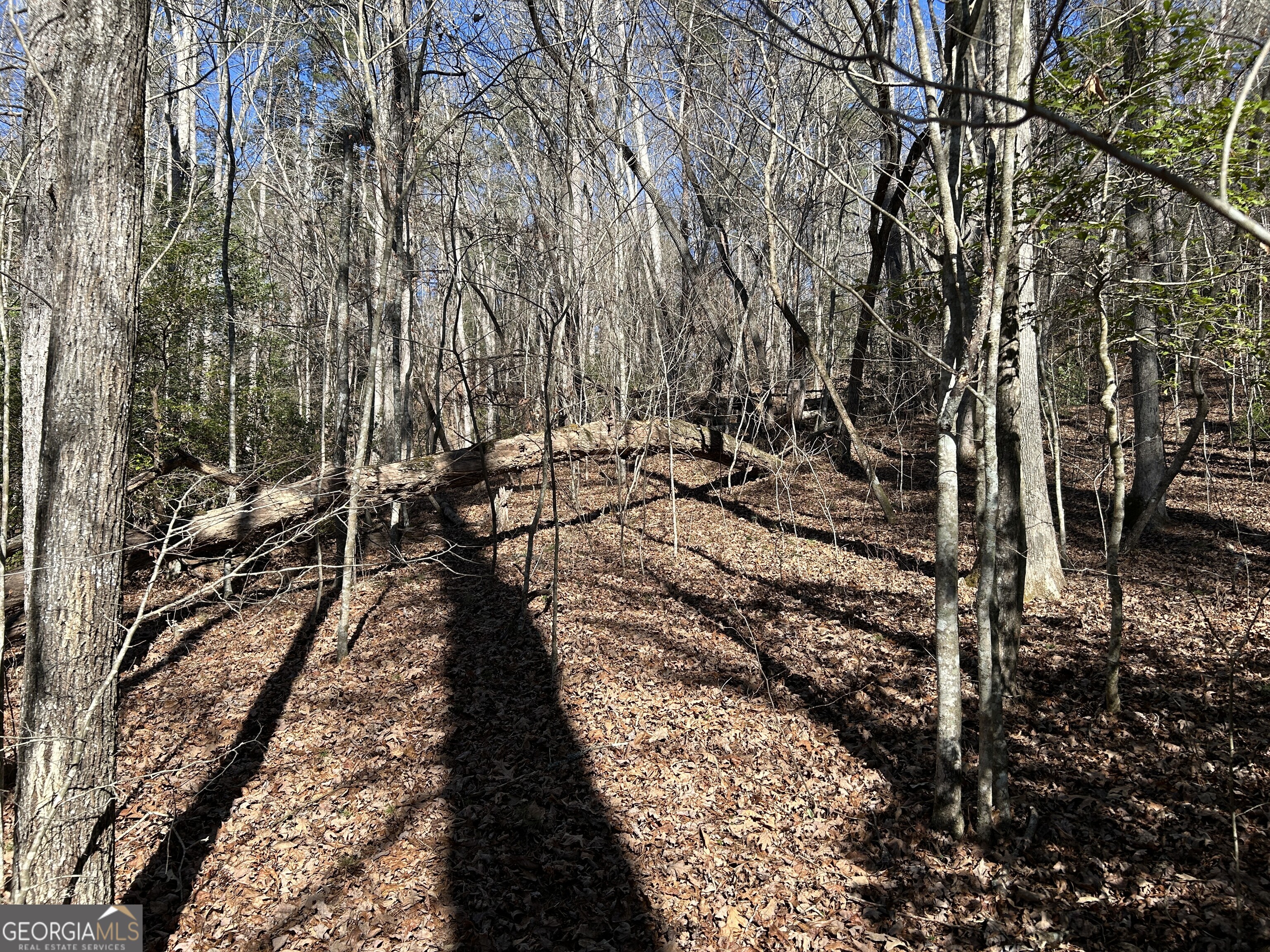 0 Twin River Orchard Road, Unit TRACT 3 Demorest, GA 30535 - Photo 18 of 39 a view of a yard