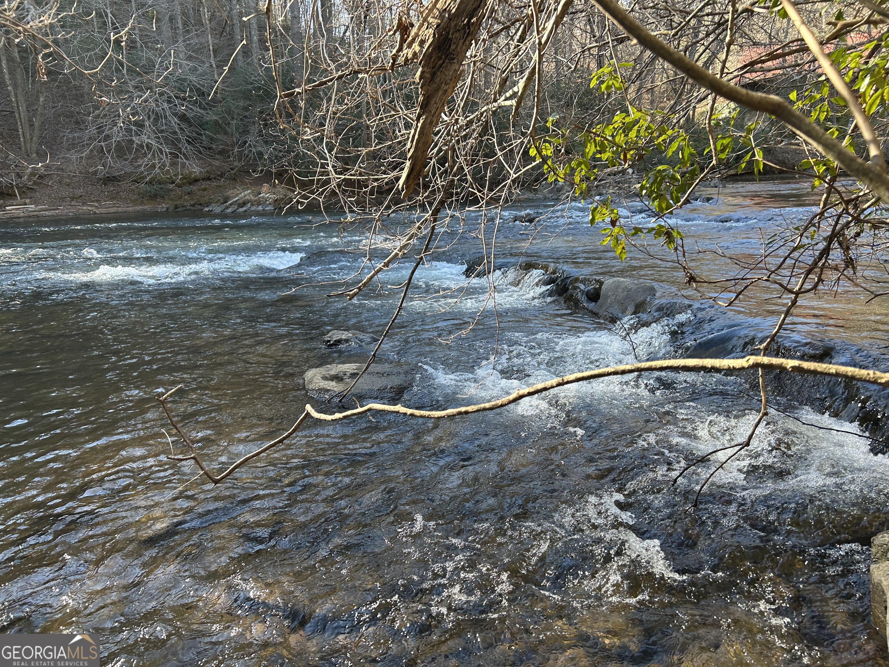 0 Twin River Orchard Road, Unit TRACT 3 Demorest, GA 30535 - Photo 19 of 39 a view of a backyard of the house