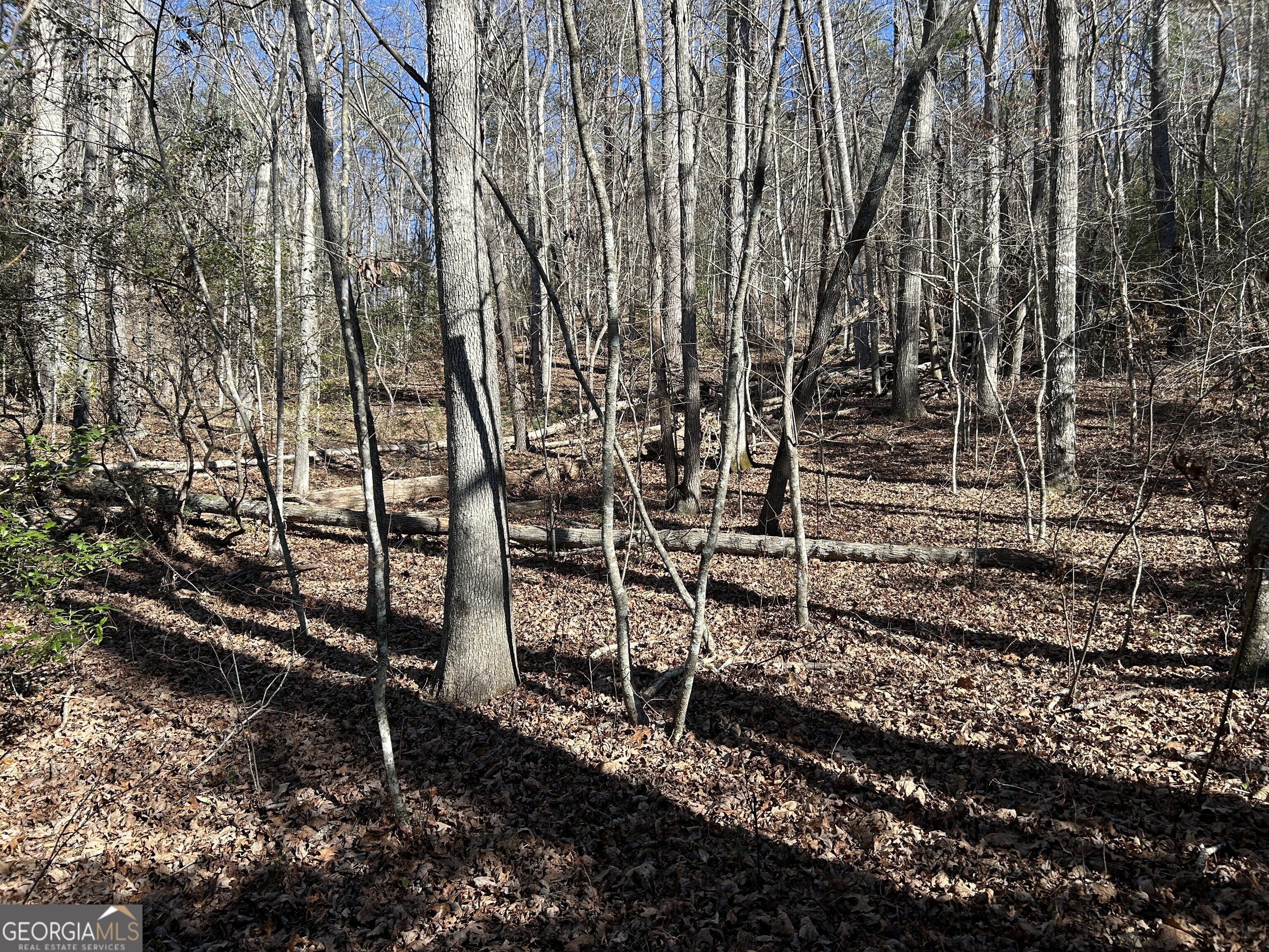 0 Twin River Orchard Road, Unit TRACT 3 Demorest, GA 30535 - Photo 21 of 39 a backyard of a house with lots of green space