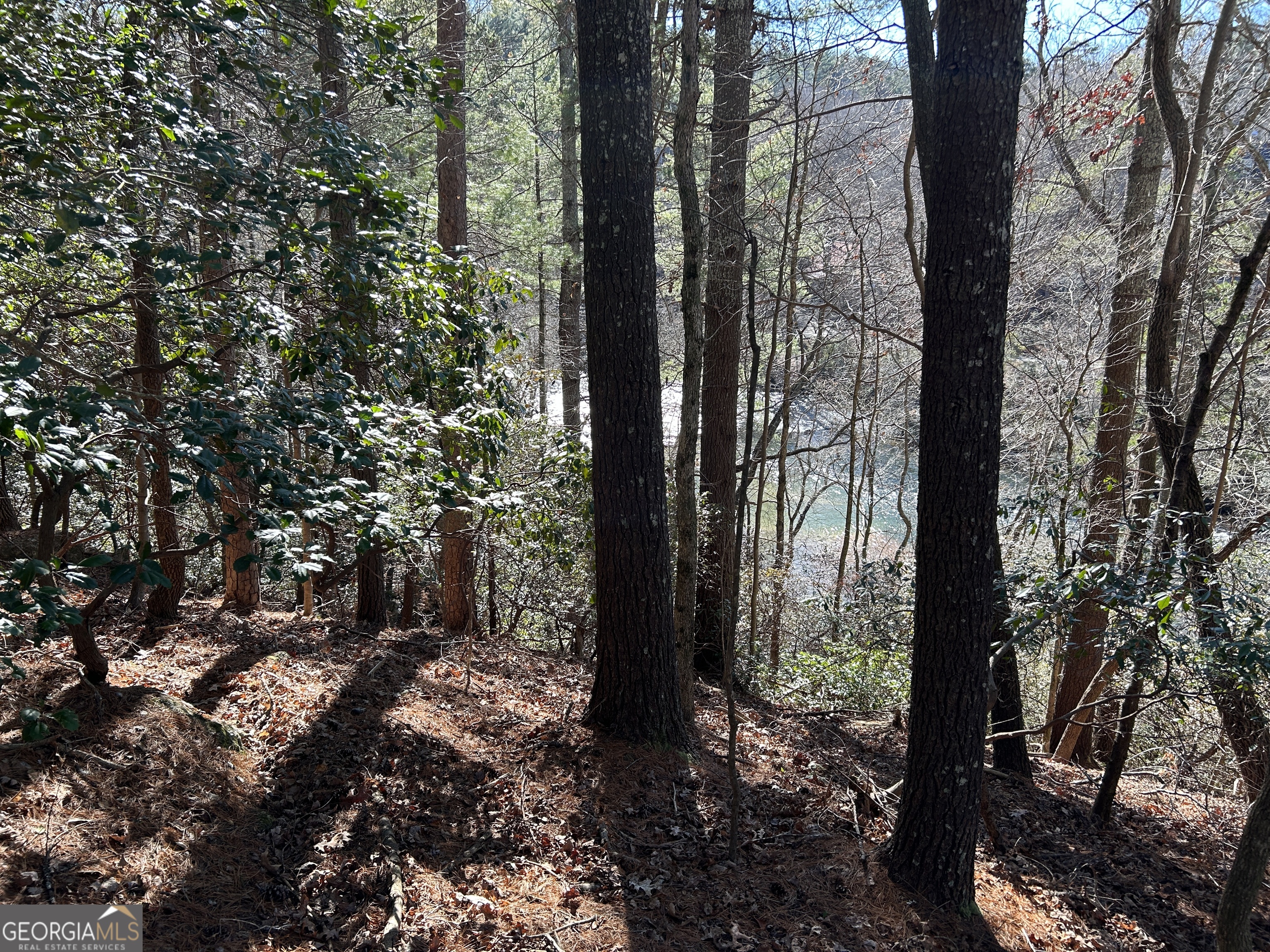 0 Twin River Orchard Road, Unit TRACT 3 Demorest, GA 30535 - Photo 31 of 39