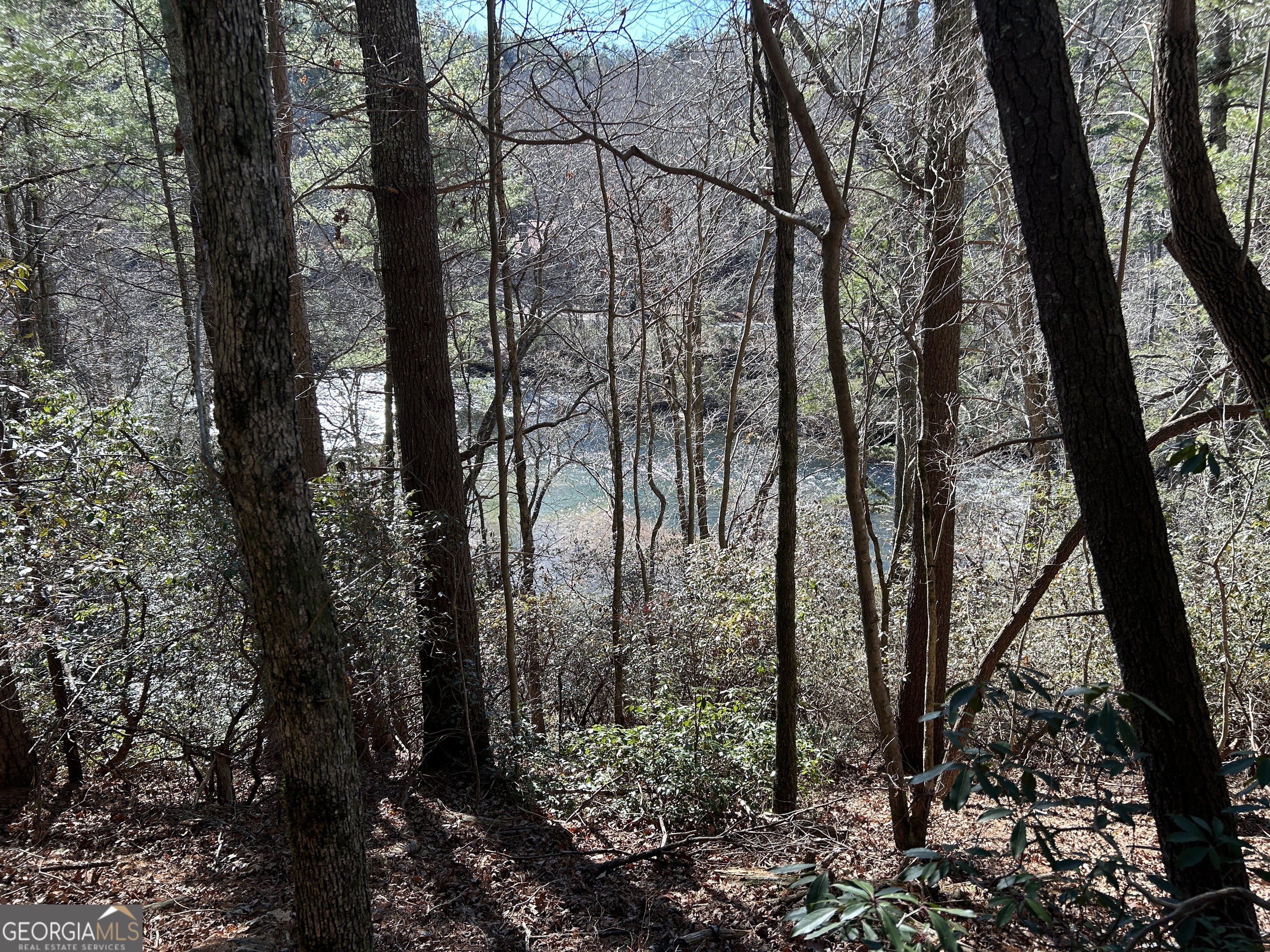 0 Twin River Orchard Road, Unit TRACT 3 Demorest, GA 30535 - Photo 32 of 39