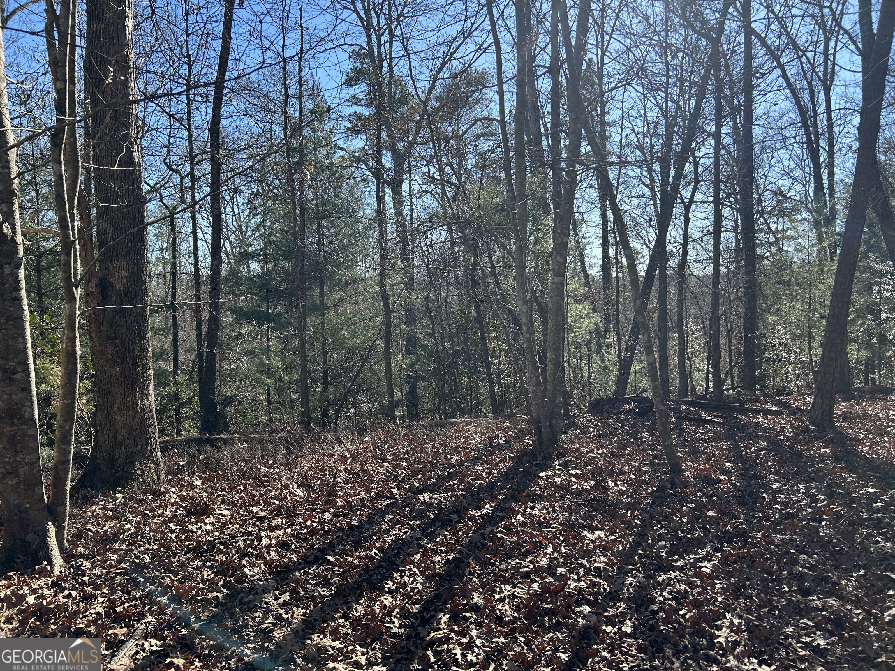 0 Twin River Orchard Road, Unit TRACT 3 Demorest, GA 30535 - Photo 35 of 39 a view of a forest with trees