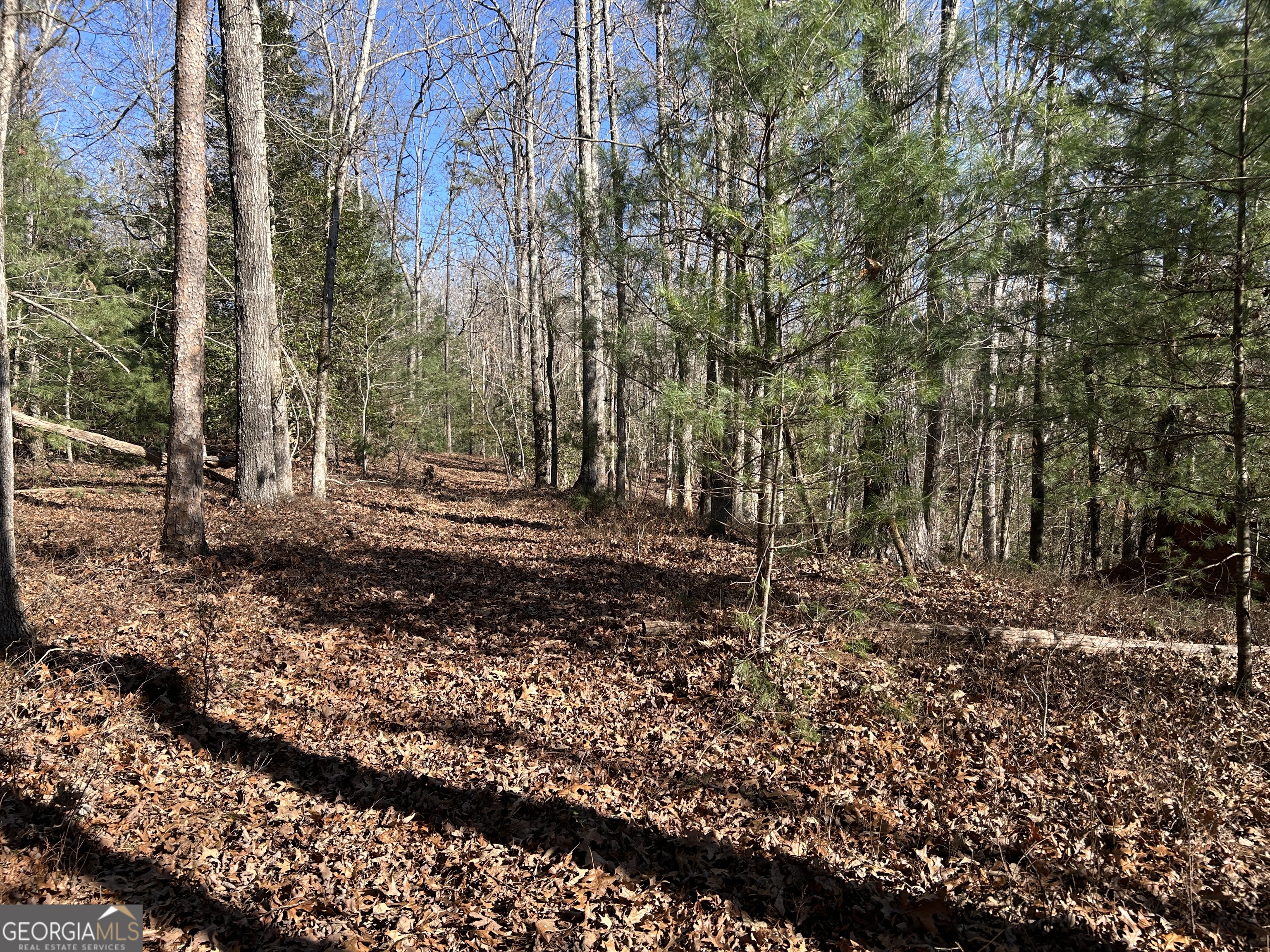 0 Twin River Orchard Road, Unit TRACT 3 Demorest, GA 30535 - Photo 36 of 39 a backyard of a house with lots of green space